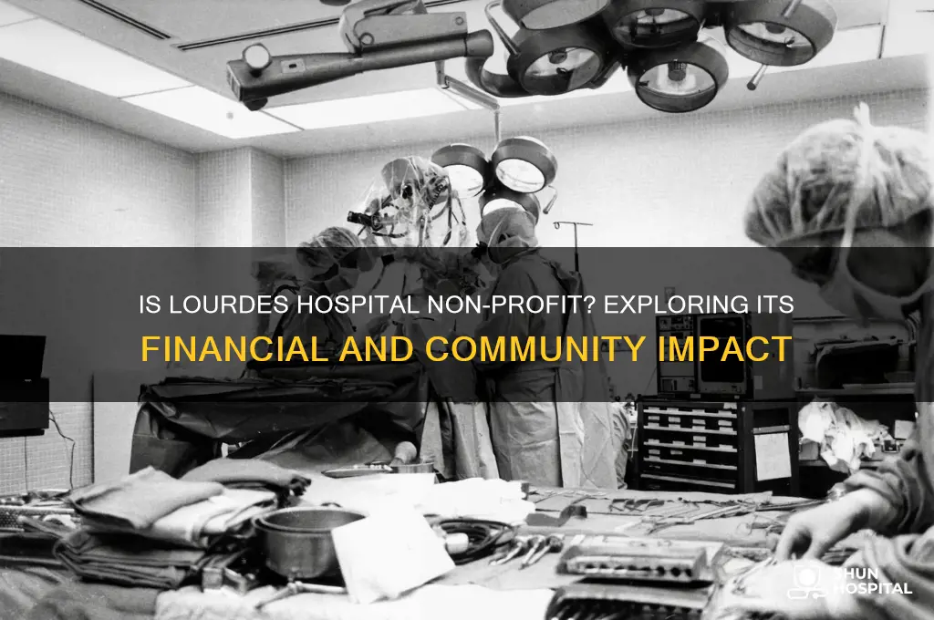 is lourdes hospital non profit