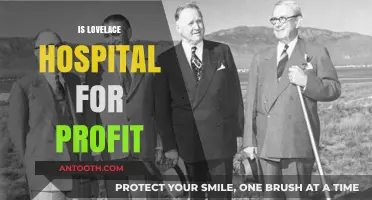Is Lovelace Hospital Profit-Driven? Uncovering the Financial Model