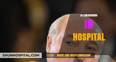 Lukashenko's Health Status: Hospitalization Rumors and Speculations Explained