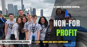 Is Lurie's Children's Hospital a Non-Profit Organization?