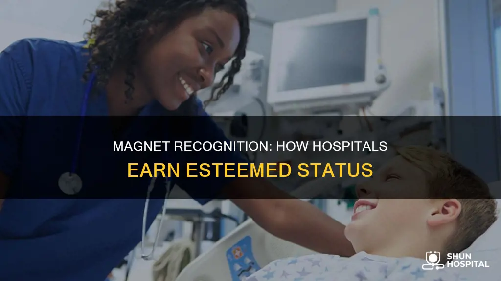 is magnet a proper noun magnet hospital