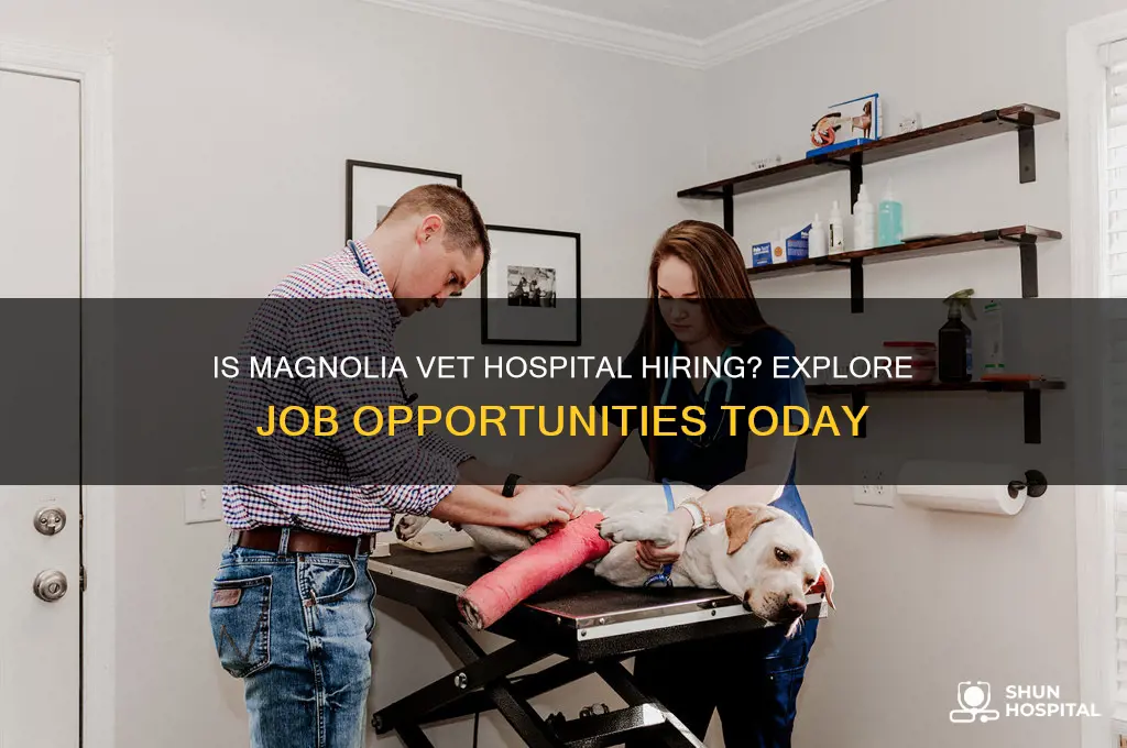 is magnolia vet hospital hiring