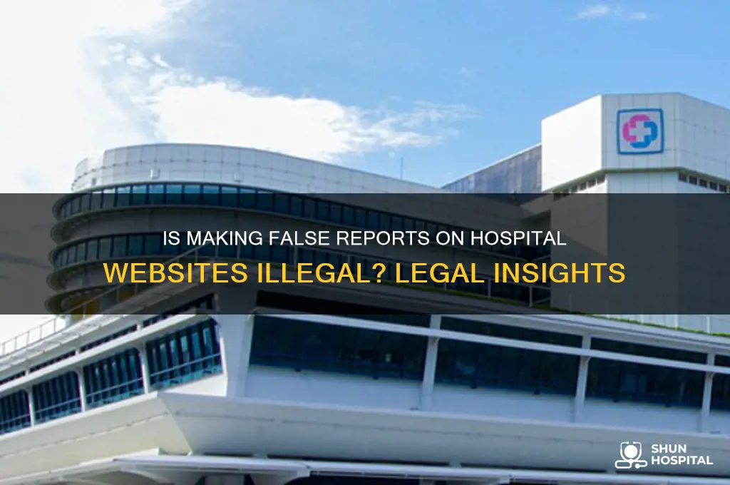 is making a false report on a hospital website illegal