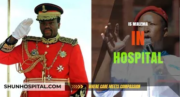 Is Julius Malema Hospitalized? Latest Updates on His Health Status
