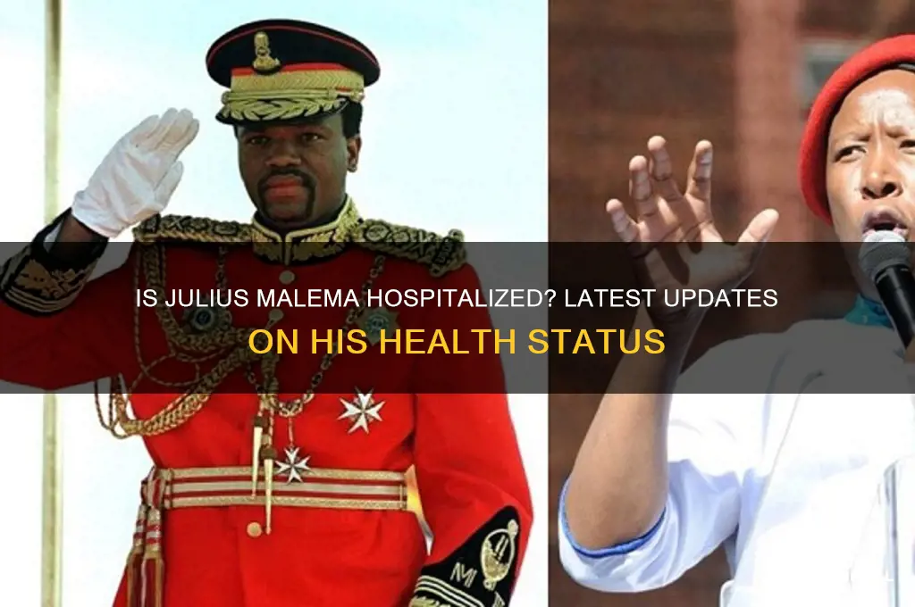 is malema in hospital