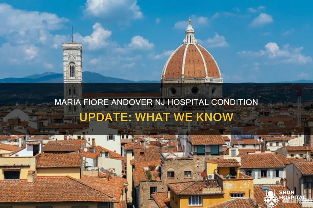 is maria fiore andover nj still in the hospital condition