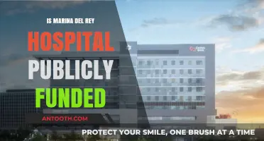 Marina Del Rey Hospital: Public or Private Funding?