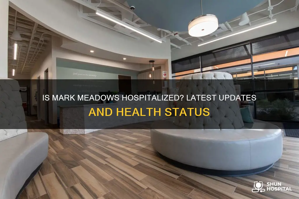is mark meadows hospitalized