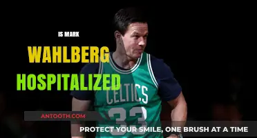 Mark Wahlberg Hospitalized: Fact-Checking the Recent Health Rumors