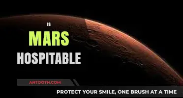 Is Mars Hospitable? Exploring the Red Planet's Habitability Potential