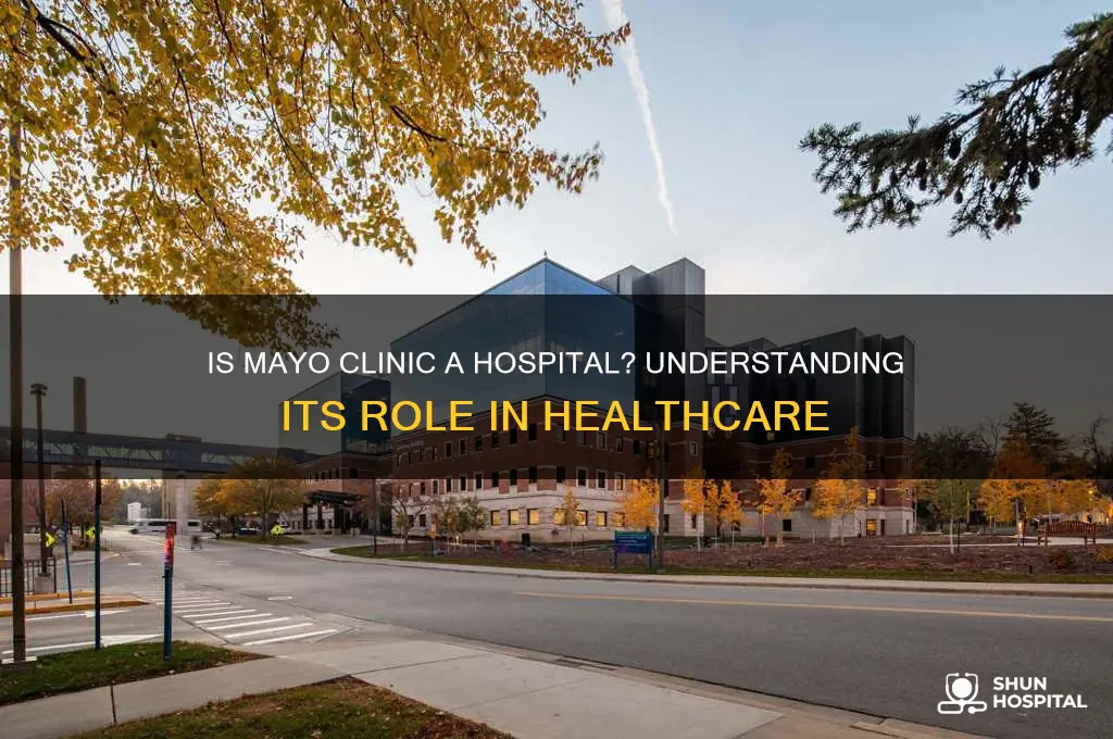 is mayo clinic a hospital