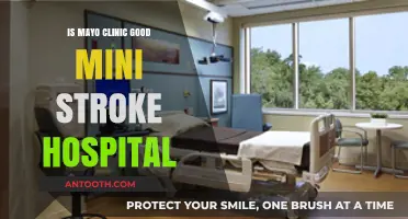 Mayo Clinic: Leading Mini-Stroke Care Center