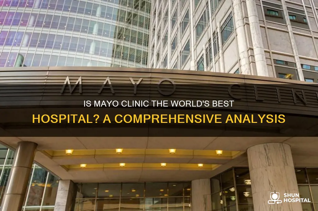 is mayo clinic the best hospital in the world