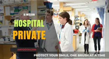 Is McLean Hospital Private? Exploring Ownership and Patient Care Details