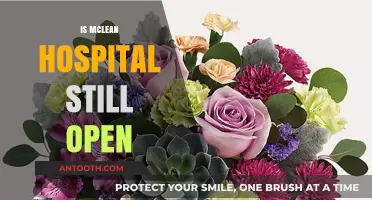 Is McLean Hospital Still Open? Current Status and Services Update
