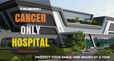 MD Anderson: Cancer-Specific Care and Beyond