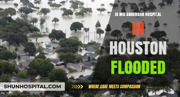 Houston's MD Anderson Hospital: Flooding and Patient Care