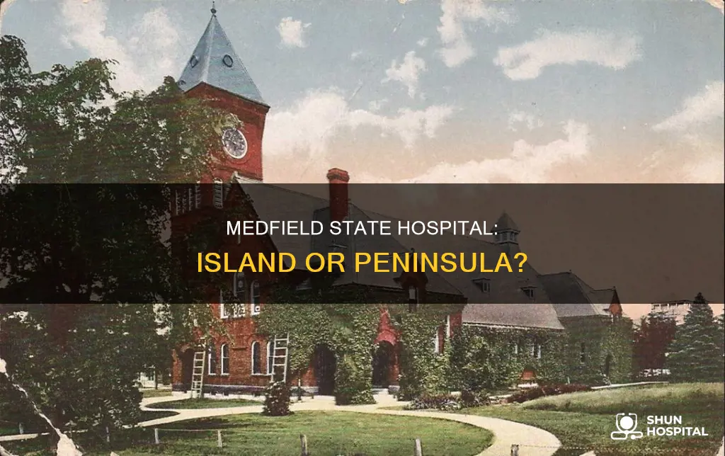 is medfield state hospital on a island