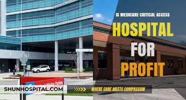 Critical Access Hospitals: Medicare's For-Profit Conundrum