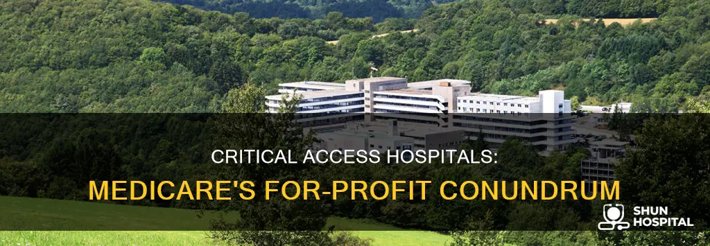 is medicare critical access hospital for profit