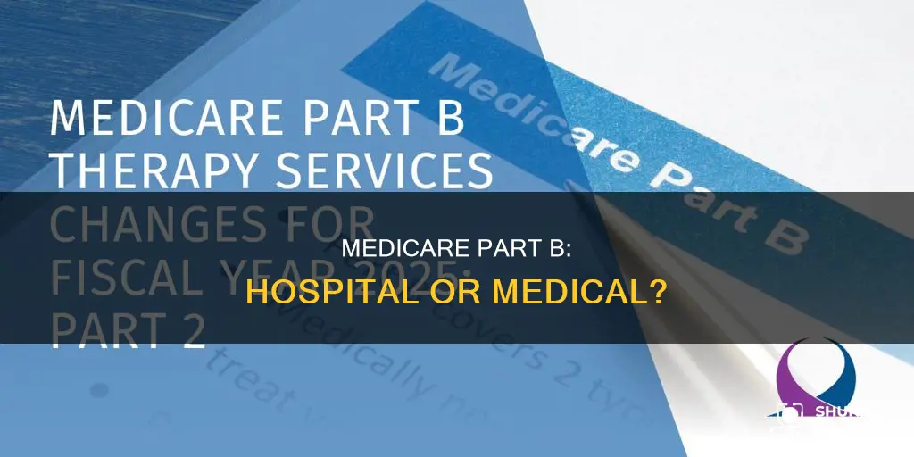 is medicare part b hospital or medical