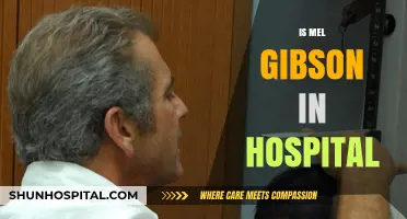 Is Mel Gibson Hospitalized? Latest Updates on His Health Status