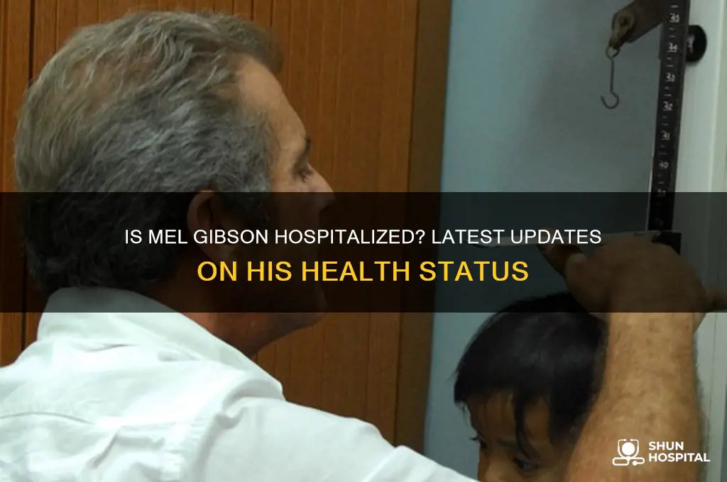 is mel gibson in hospital