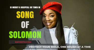 Mercy in Song of Solomon: Hospital, Town, or Symbol?