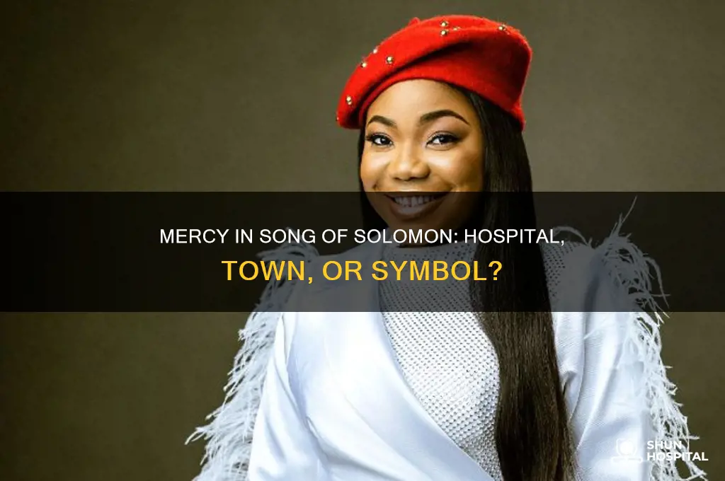 is mercy a hospital or town in song of solomon