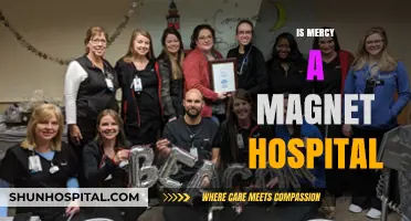 Is Mercy a Magnet Hospital? Exploring Excellence in Nursing Care