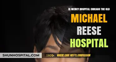 Is Mercy Hospital Chicago the Former Michael Reese Hospital?