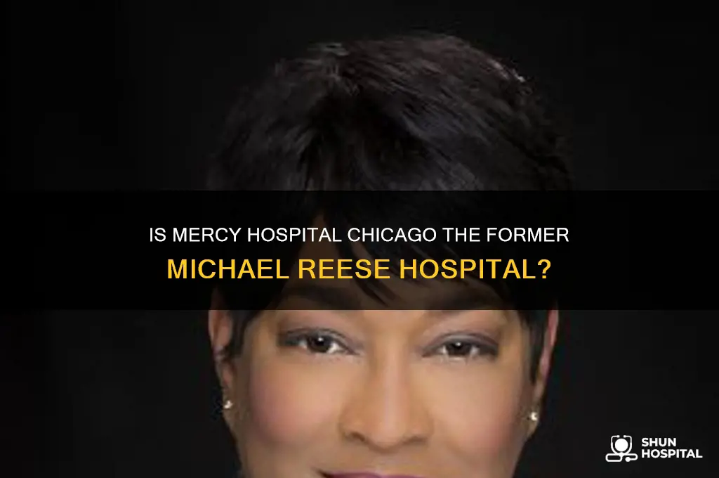 is mercy hospital chicago the old michael reese hospital