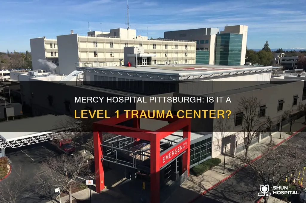 is mercy hospital pittsburgh a level 1 trauma center