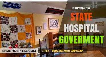 Is Metropolitan State Hospital Government-Run? Unveiling Its Ownership and Funding