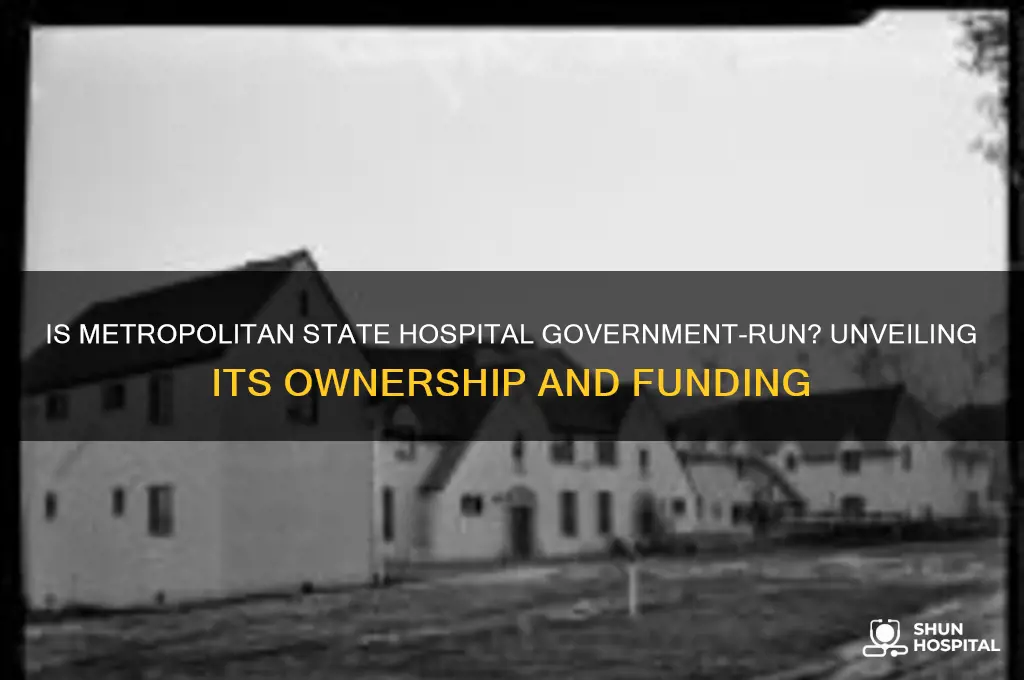 is metropolitan state hospital goverment