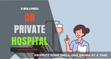 Mgh Hospital: Public or Private?