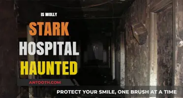 Is Molly Stark Hospital Haunted? Uncovering the Paranormal Truth