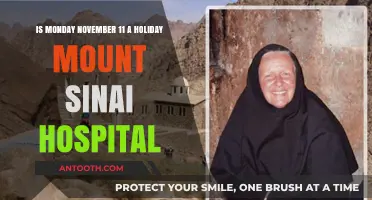 Is November 11th a Holiday at Mount Sinai Hospital?