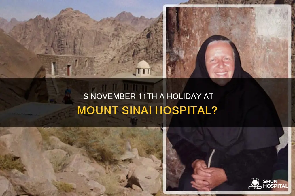 is monday november 11 a holiday mount sinai hospital