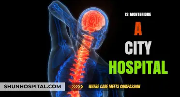 Is Montefiore a City Hospital? Exploring Its Classification and Role