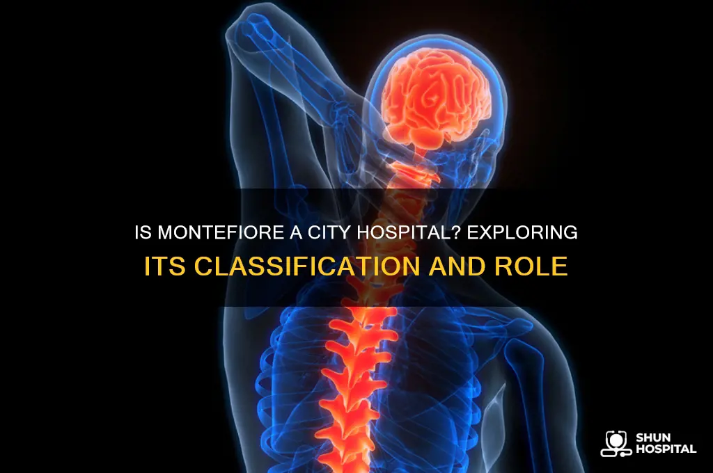 is montefiore a city hospital