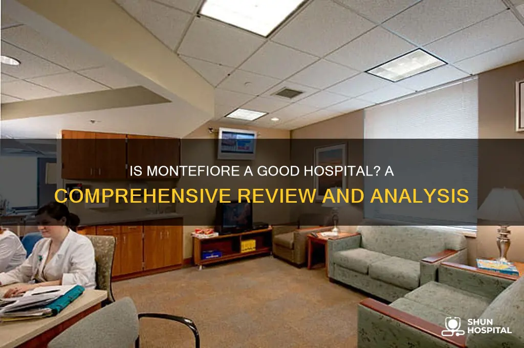 is montefiore a good hospital