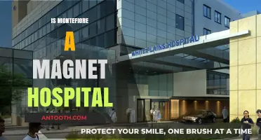 Is Montefiore a Magnet Hospital? Exploring Its Nursing Excellence Status