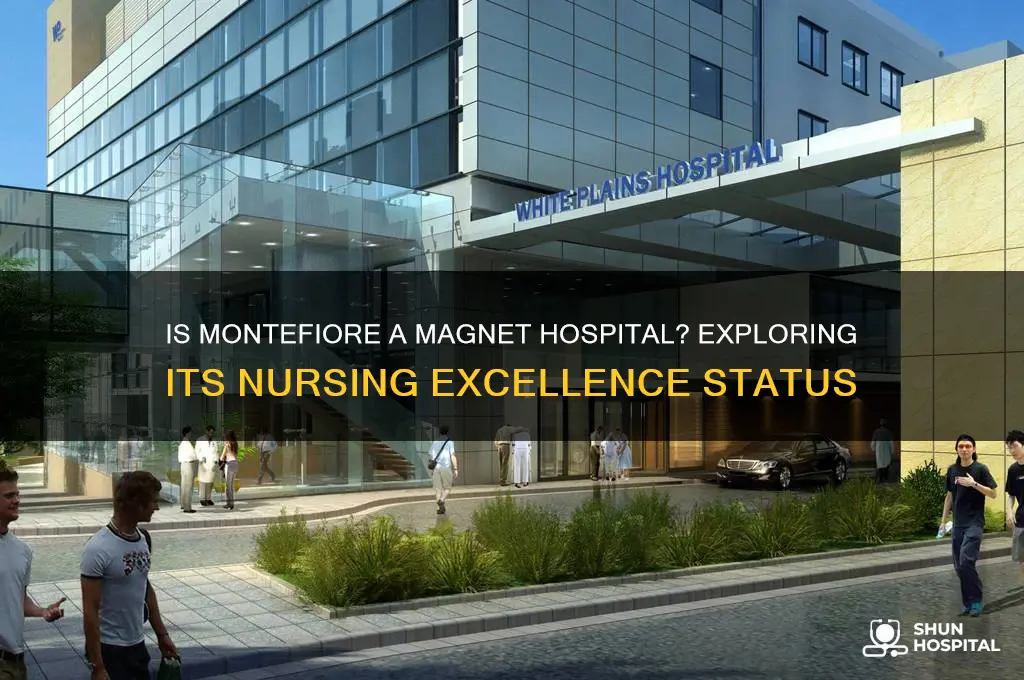 is montefiore a magnet hospital