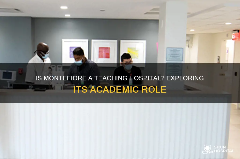 is montefiore a teacing hospital