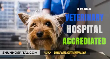 Is Moreland Veterinary Hospital Accredited? A Comprehensive Review