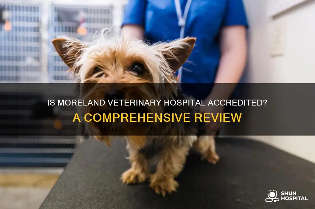 is moreland veterinary hospital accrediated