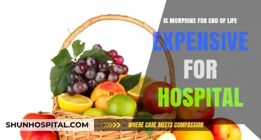 Morphine Costs in End-of-Life Care: Hospital Financial Burden Explored