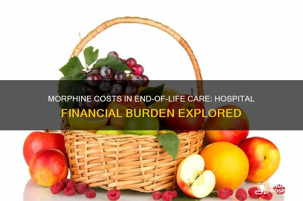 is morphine for end of life expensive for hospital