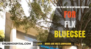 Is Morton Plant an In-Network Hospital for FL Blue Cross?